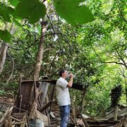 ���������� �������, ���� ������� ����, 47 ���, ������������ ��� ������, ����� � ���������, c�������� ���������