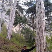  ,   , 36 ,   ,   , c 