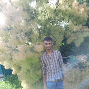 ���������� �������, ���� ������� ����, 33 ����, ������������ ��� ������, ����� � ���������, c�������� ���������