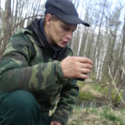  ,   , 41 ,   