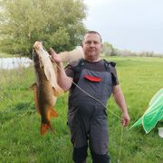  ,   , 50 ,   ,   , c 