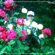  ,   , 51 ,   ,   , c 