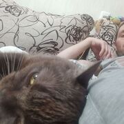 ���������� �����, ���� ������� �����, 39 ���, ������������ ��� ������, ����� � ���������