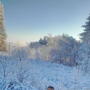 ���������� ������, ���� ������� �����, 38 ���, ������������ ��� ������, ����� � ���������