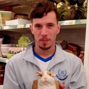  ,    , 39 ,   ,   