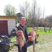 ���������� ������ ��������, ���� ������� �������, 35 ���, ������������ ��� ������, ����� � ���������, c�������� ���������