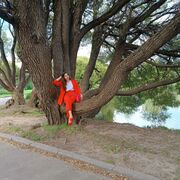 ���������� ������, ���� ������� ��������, 48 ���, ������������ ��� c�������� ���������