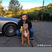  ,  Gegi, 29