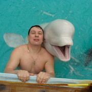 ���������� ����������, ���� ������� ������, 53 ����, ������������ ��� ������, ����� � ���������, c�������� ���������