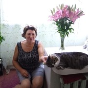  ,   , 58 ,   ,   