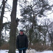   ,   , 65 ,  