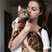 ���������� ����, ���� ������� ��������, 26 ���, ������������ ��� ������, ����� � ���������, c�������� ���������