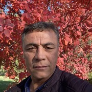  ,   , 52 ,   ,   