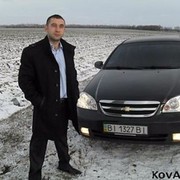  ,   KovArtNik, 41 ,   ,   , c 