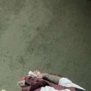 ���������� �����������, ���� ������� ����, 37 ���, ������������ ��� ������, ����� � ���������, c�������� ���������