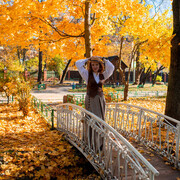 ���������� ������, ���� ������� �����, 41 ���, ������������ ��� ������, ����� � ���������