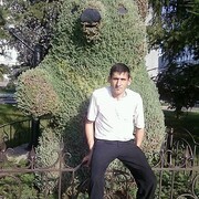  ,  , 37