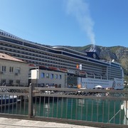 ���������� ������, ���� ������� Stojan, 56 ���, ������������ ��� ������, ����� � ���������, c�������� ���������