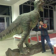 ���������� ����������, ���� ������� ����, 35 ���, ������������ ��� ����� � ���������, c�������� ���������