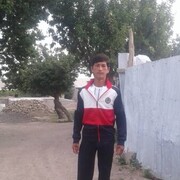  ,   , 41 ,   ,   