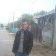  ,   Nicolai, 33 ,   