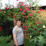  ,     , 41 ,     , c 