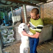 ���������� ��������, ���� ������� ������, 46 ���, ������������ ��� ������, ����� � ���������, c�������� ���������