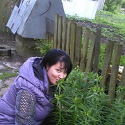  ,   , 41 ,     , c 