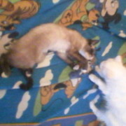 ����� ����� �� ������ ����� ��� , �� � ����� ���� !