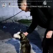      😿