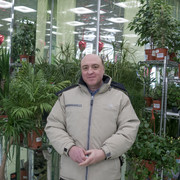 ���������� �����������, ���� ������� ������, 58 ���, ������������ ��� ����� � ���������, c�������� ���������