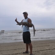 ���������� ������, ���� ������� ��, 29 ���, ������������ ��� ������, ����� � ���������, ���������