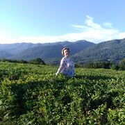 ���������� ������, ���� ������� Ann, 50 ���, ������������ ��� ������, ����� � ���������