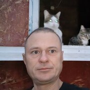 ���������� �����������, ���� ������� �������, 45 ���, ������������ 