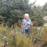   ,   , 70 ,   ,   , c 