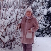 ���� 2026�.