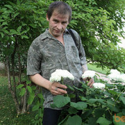 ���������� ���������������, ���� ������� Dusha, 59 ���, ������������ ��� ������, ����� � ���������, c�������� ���������