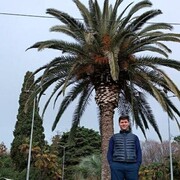  ,   , 31 ,   