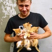 ���������� ����, ���� ������� ����, 33 ����, ������������ ��� ������, ����� � ���������, c�������� ���������