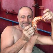  ,   , 55 ,   