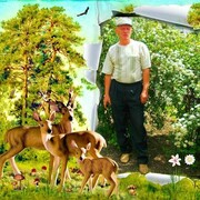   ,   , 71 ,   ,   , c 