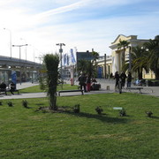 ���������� ����, ���� ������� ������, 44 ����, ������������ ��� ������, ����� � ���������, c�������� ���������