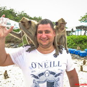 ���������� ����������, ���� ������� �������, 42 ����, ������������ ��� ������, ����� � ���������