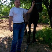 ���������� ��������, ���� ������� ������, 48 ���, ������������ ��� ������, ����� � ���������, c�������� ���������