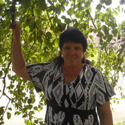  ,   , 58 ,  