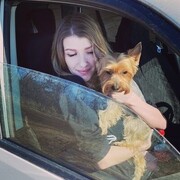 ���������� ��������, ���� ������� ��������, 35 ���, ������������ ��� ������, ����� � ���������