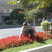  ,  zauri, 35