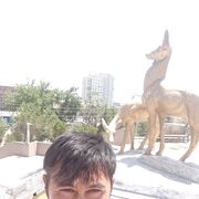 ���������� �����-���������, ���� ������� �������, 43 ����, ������������ ��� ������, ����� � ���������