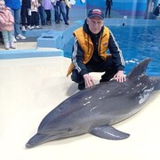 ���������� ����������, ���� ������� ������, 52 ����, ������������ ��� ������, ����� � ���������