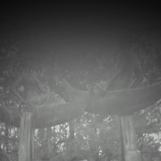  ,   , 53 ,     , c 
